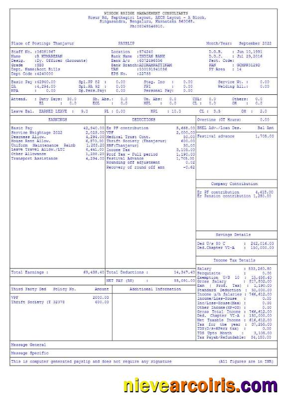 Wisdom Bridge Management Consultants payslip